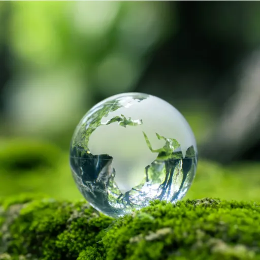 Environmental Impact of Decking Materials