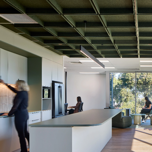 commercial acoustic solutions