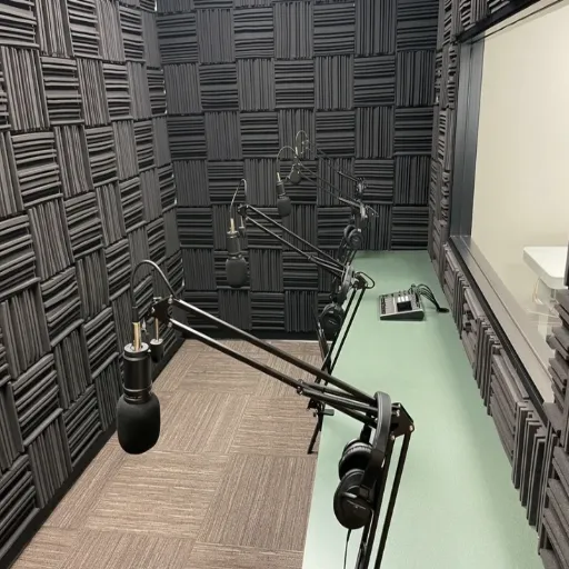 Budget Tiers for Podcast Acoustic Treatment