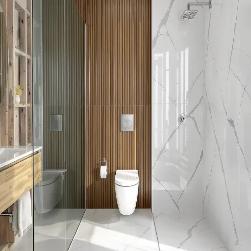 Bathroom Wet Zones_ Where Each Panel Is Safe
