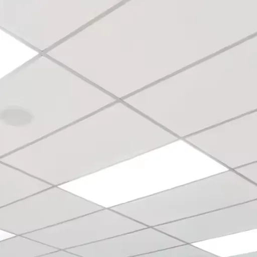 The Mid-Century Boom_ How the 2x4 Office Ceiling Conquered the World