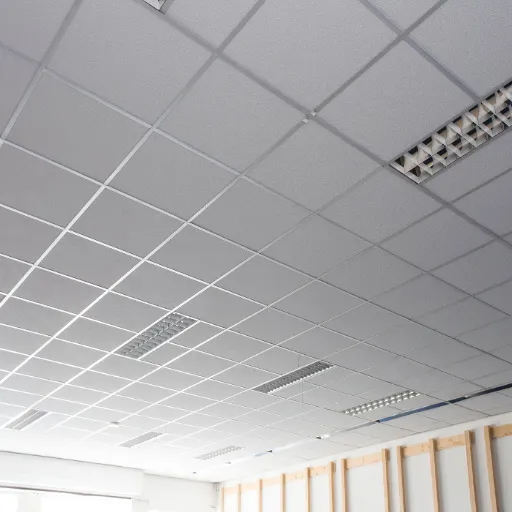 What Is a Suspended Ceiling_