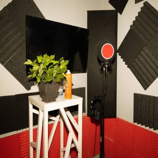 The Fix_ How to Treat a Room That Actually Sounds Boomy