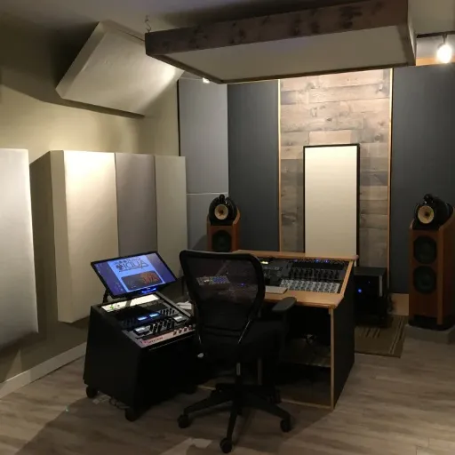 What Is the Difference Between Acoustic Foam and Bass Traps_